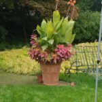 Angel B 1 IMG_20230924_142858