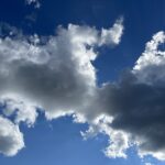 Barbara Farber 5 IMG_2902