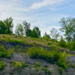 Jeanne Tilley 2 IMG_5039 (1)