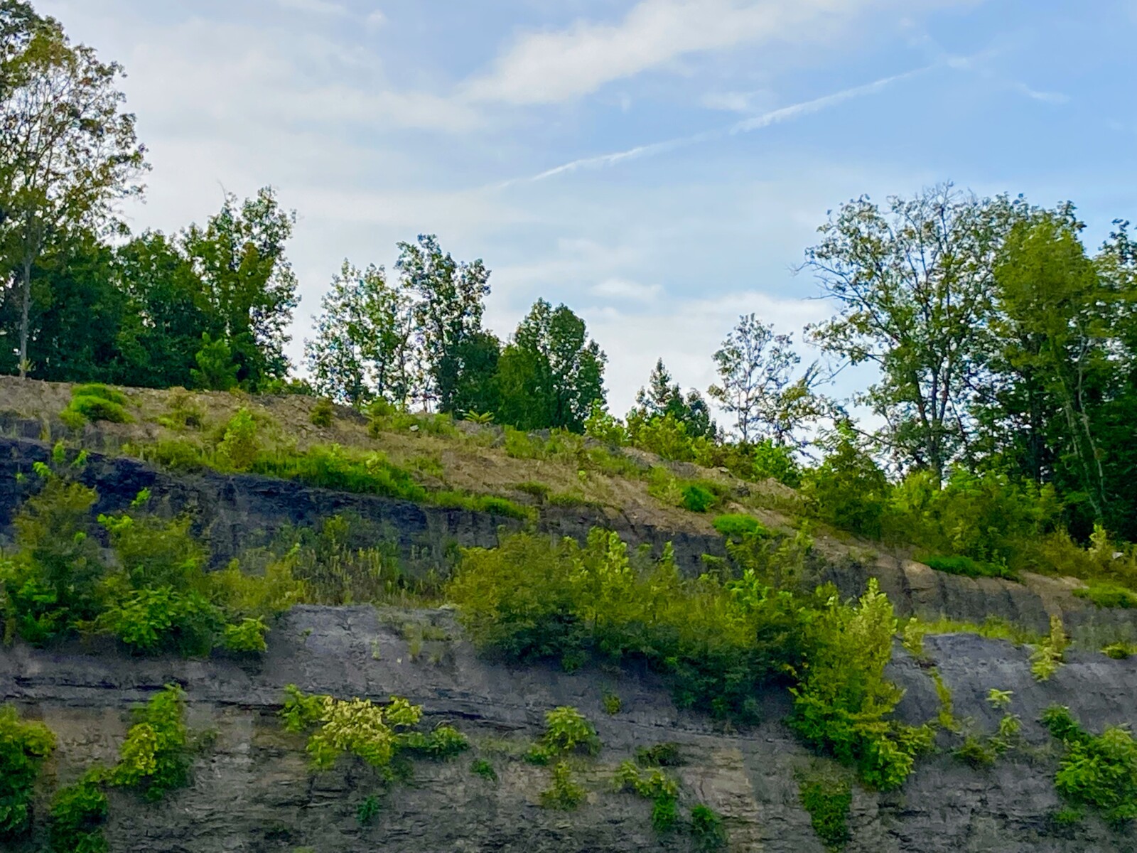 Resourcefulness, Acceptance, Living New Growth