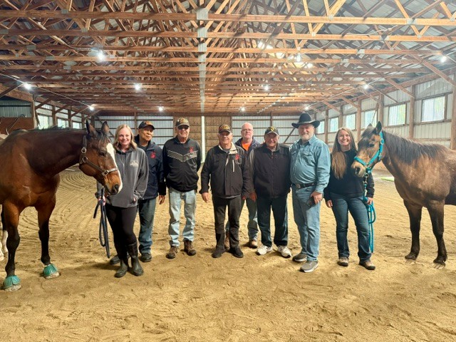 Equine Therapy